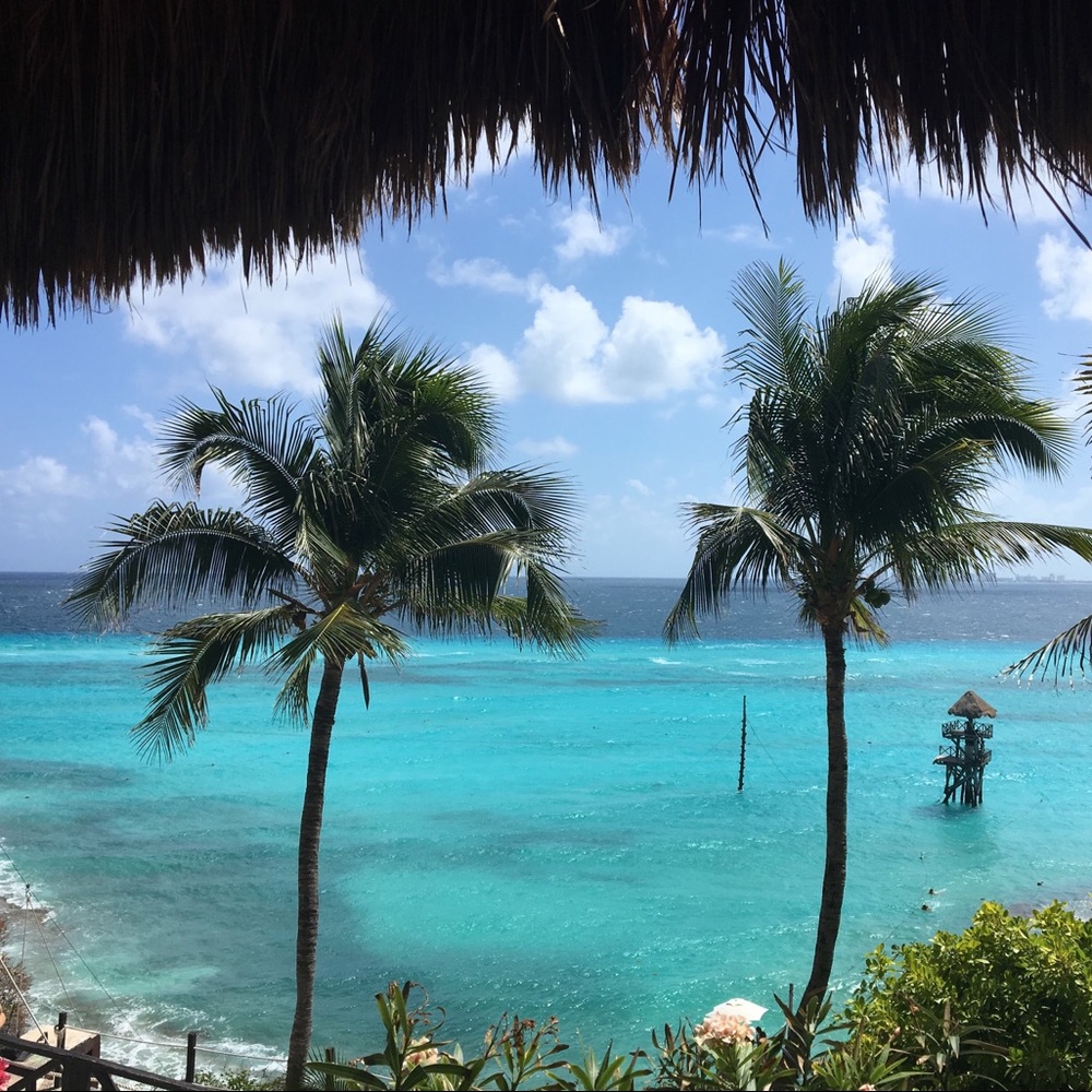 Meet your Posher, Lexi